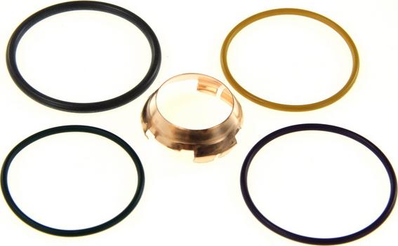 DT Spare Parts 1.31294 - Ремкомплект, распылитель abcparts.ee