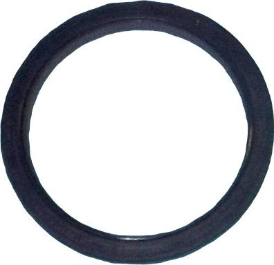 EAP EAP04160 - Уплотняющее кольцо, коленчатый вал abcparts.ee