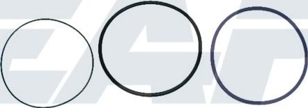 EAP EAP00481 - Комплект прокладок, гильза цилиндра abcparts.ee