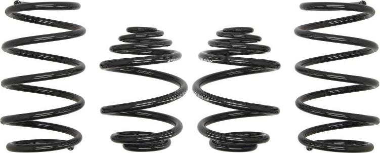 Eibach E10-65-002-01-22 - Комплект ходовой части, пружины abcparts.ee
