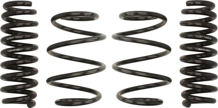 Eibach E10-20-045-01-22 - Комплект ходовой части, пружины abcparts.ee