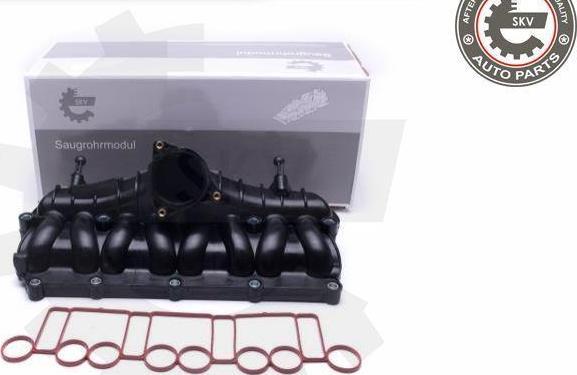 Esen SKV 49SKV066 - Модуль впускной трубы abcparts.ee