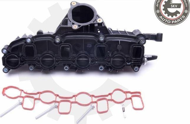 Esen SKV 49SKV007 - Модуль впускной трубы abcparts.ee