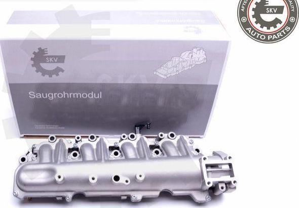 Esen SKV 49SKV029 - Модуль впускной трубы abcparts.ee