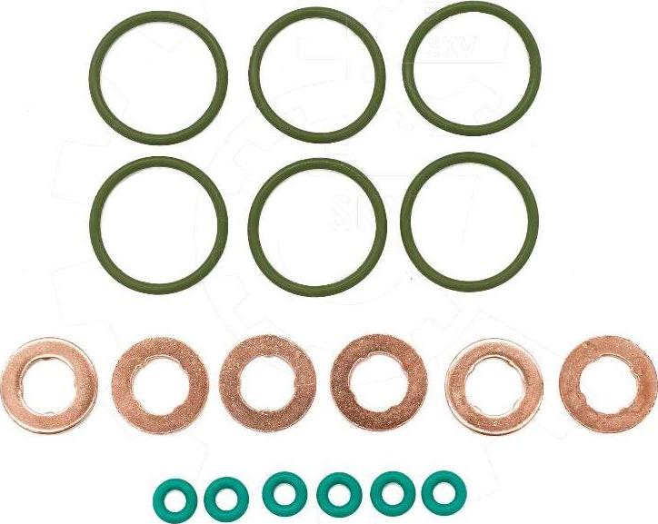 Esen SKV 53SKV200 - Комплект уплотнительных колец, клапанная форсунка abcparts.ee