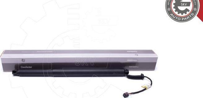 Esen SKV 52SKV913 - Электромотор, задняя дверь abcparts.ee