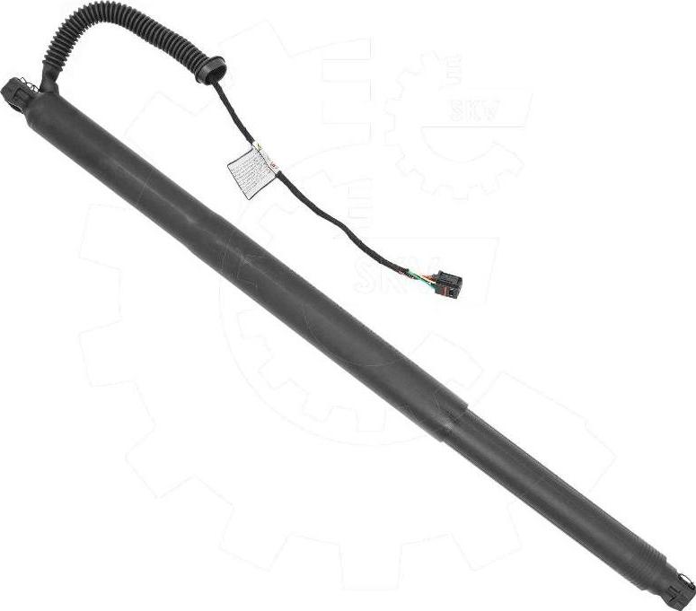 Esen SKV 52SKV198 - Электромотор, задняя дверь abcparts.ee