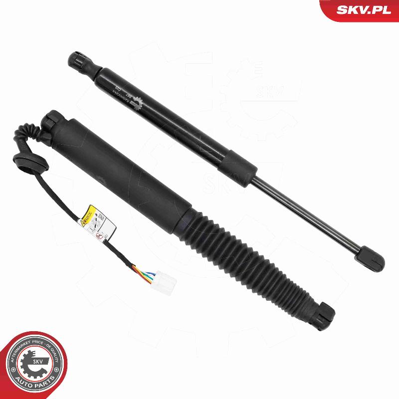Esen SKV 52SKV244 - Электромотор, задняя дверь abcparts.ee