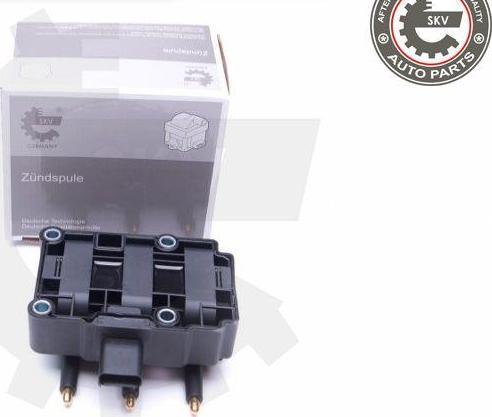 Esen SKV 03SKV248 - Катушка зажигания abcparts.ee
