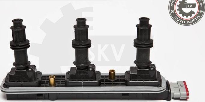 Esen SKV 03SKV208 - Катушка зажигания abcparts.ee