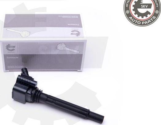 Esen SKV 03SKV281 - Катушка зажигания abcparts.ee