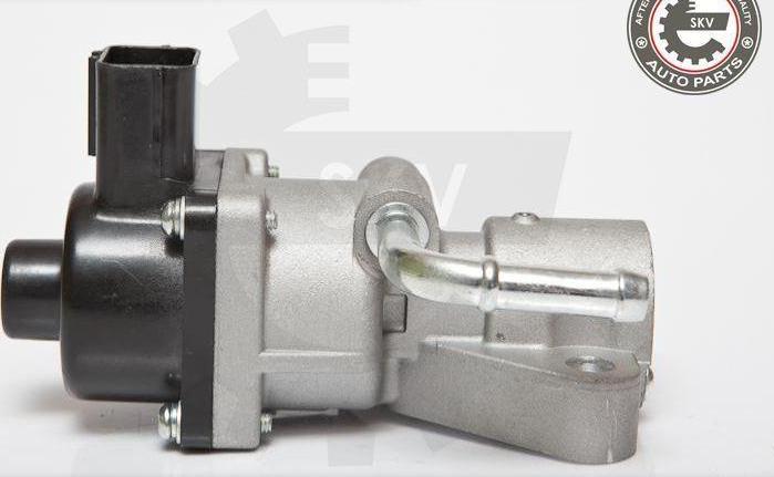 Esen SKV 14SKV047 - Клапан возврата ОГ abcparts.ee