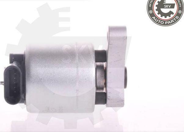 Esen SKV 14SKV004 - Клапан возврата ОГ abcparts.ee