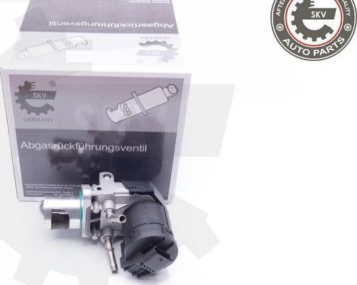 Esen SKV 14SKV169 - Клапан возврата ОГ abcparts.ee