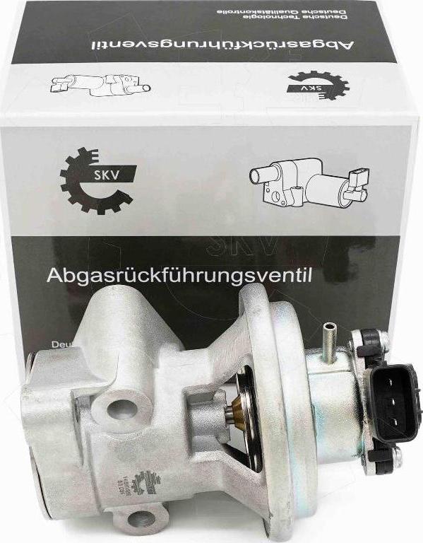 Esen SKV 14SKV269 - Клапан возврата ОГ abcparts.ee