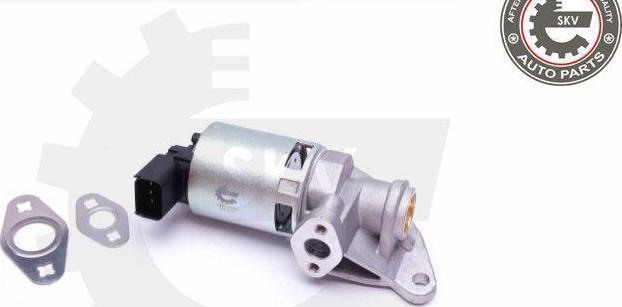 Esen SKV 14SKV208 - Клапан возврата ОГ abcparts.ee