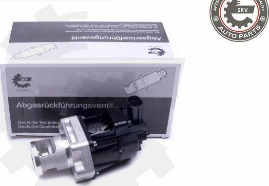 Esen SKV 14SKV217 - Клапан возврата ОГ abcparts.ee