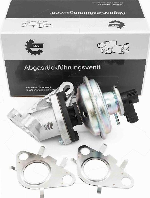 Esen SKV 14SKV285 - Клапан возврата ОГ abcparts.ee