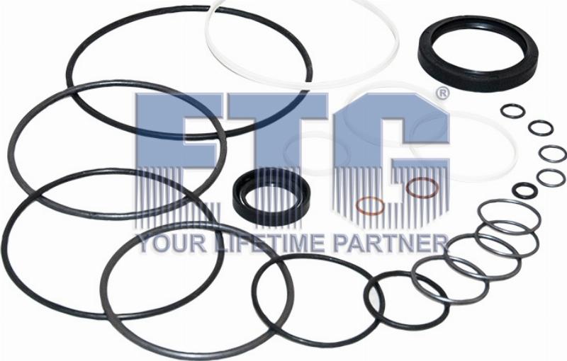 ETG Automotive 02.01.46.205282 - Комплект прокладок, рулевой механизм abcparts.ee