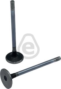 EUROCAMS EVI900 - Впускной клапан abcparts.ee