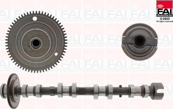 FAI AutoParts C530 - Распредвал abcparts.ee