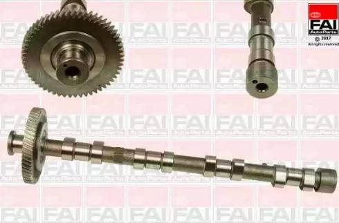 FAI AutoParts C309 - Распредвал abcparts.ee
