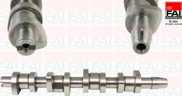 FAI AutoParts C248C - Распредвал abcparts.ee