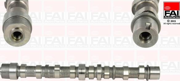 FAI AutoParts C255 - Распредвал abcparts.ee