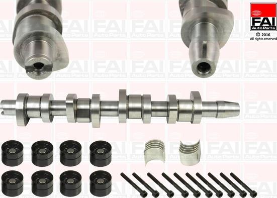 FAI AutoParts CSK248C - Комплект распредвала abcparts.ee