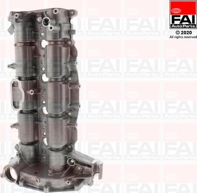 FAI AutoParts CSM120 - Комплект распредвала abcparts.ee