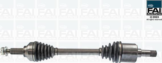 FAI AutoParts FPDS100 - Приводной вал abcparts.ee