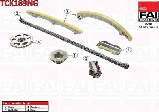 FAI AutoParts TCK189NG - Комплект цепи привода распредвала abcparts.ee