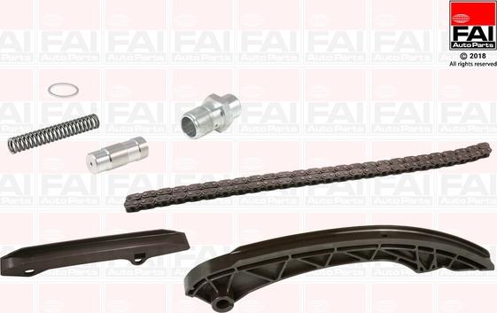 FAI AutoParts TCK170NG - Комплект цепи привода распредвала abcparts.ee