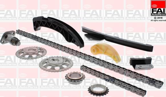 FAI AutoParts TCK305NG - Комплект цепи привода распредвала abcparts.ee