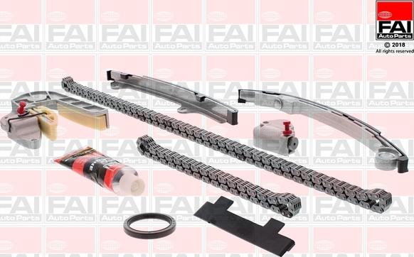 FAI AutoParts TCK31WO - Комплект цепи привода распредвала abcparts.ee