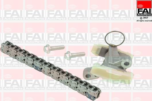 FAI AutoParts TCK262NG - Комплект цепи привода распредвала abcparts.ee