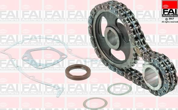 FAI AutoParts TCK289 - Комплект цепи привода распредвала abcparts.ee