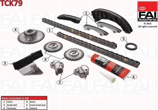 FAI AutoParts TCK79 - Комплект цепи привода распредвала abcparts.ee