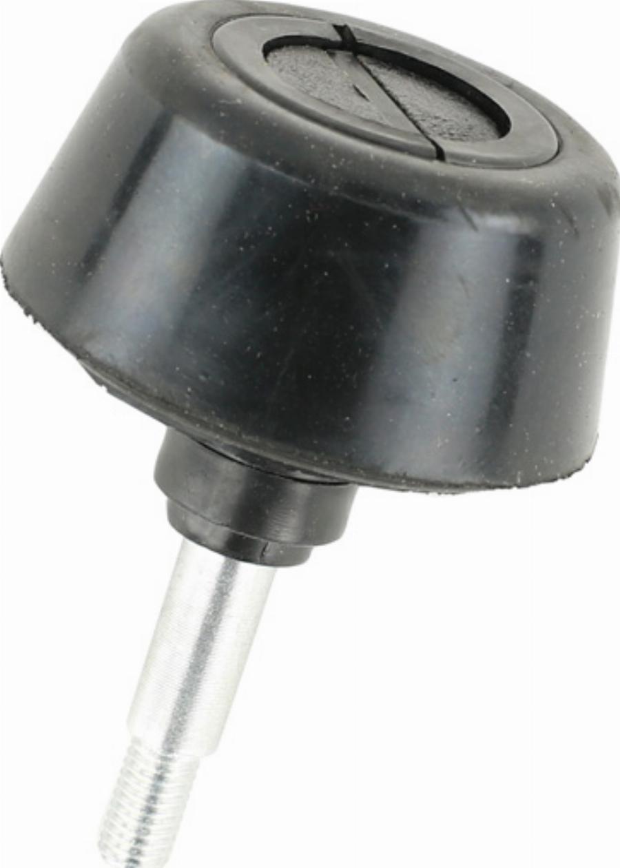 Fast FT95478 - Штифт замка двери, палец, шток abcparts.ee