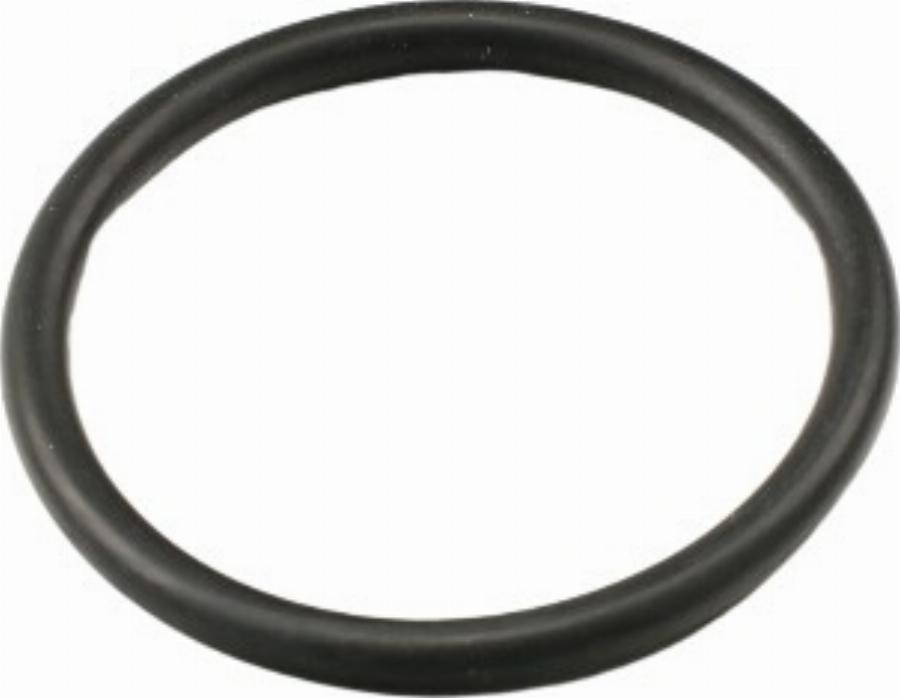 Fast FT49917 - Прокладка, термостат abcparts.ee