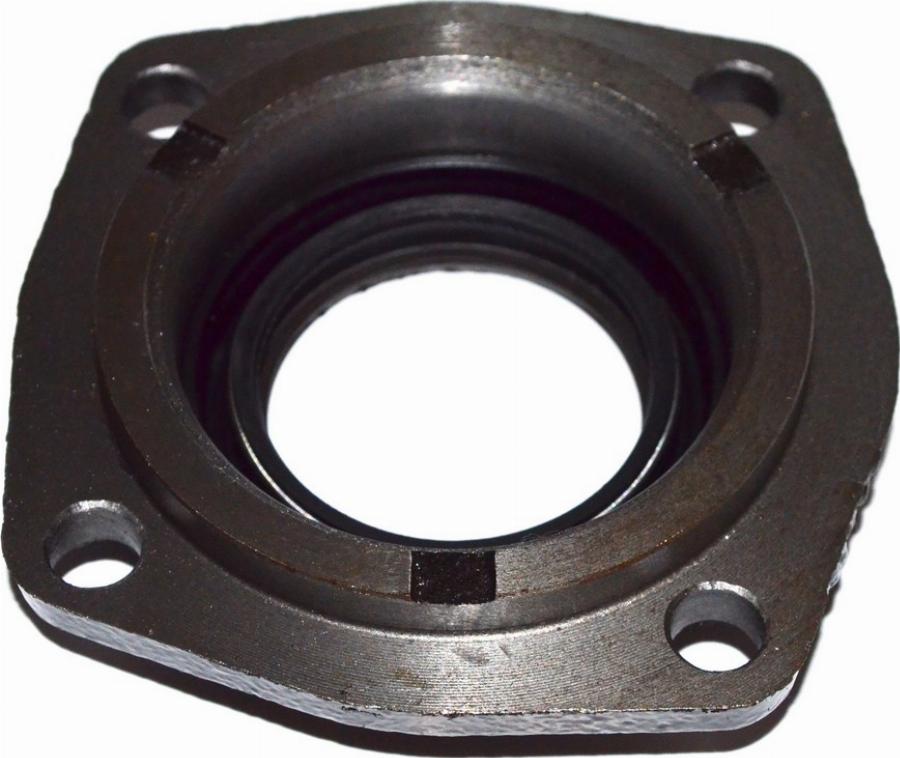 Fast FT49838 - Уплотняющее кольцо, дифференциал abcparts.ee