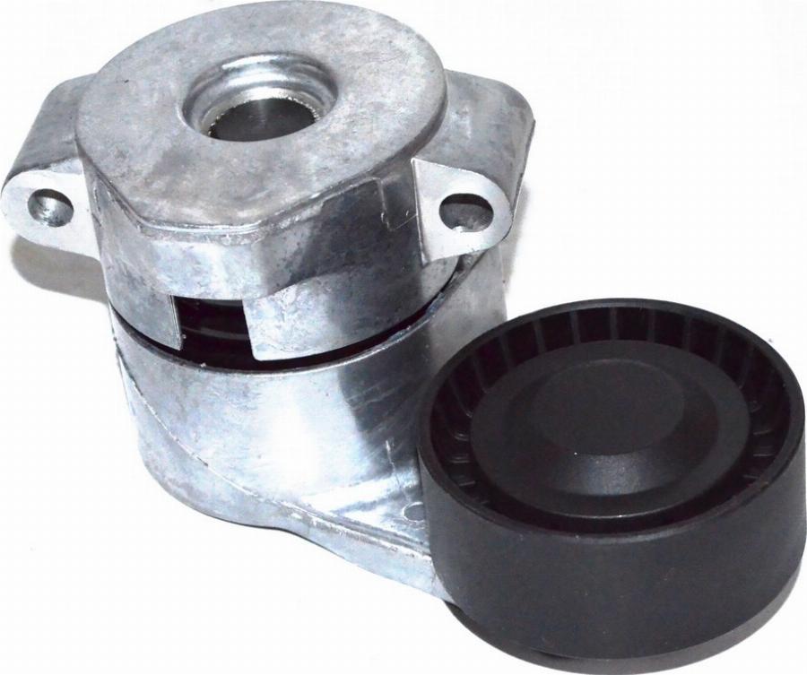 Fast FT44597 - Натяжитель, поликлиновый ремень abcparts.ee