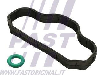 Fast FT48302 - Прокладка, болт крышка головки цилиндра abcparts.ee