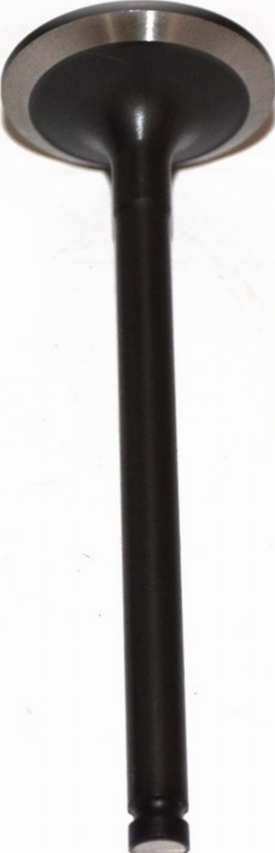 Fast FT50013 - Впускной клапан abcparts.ee