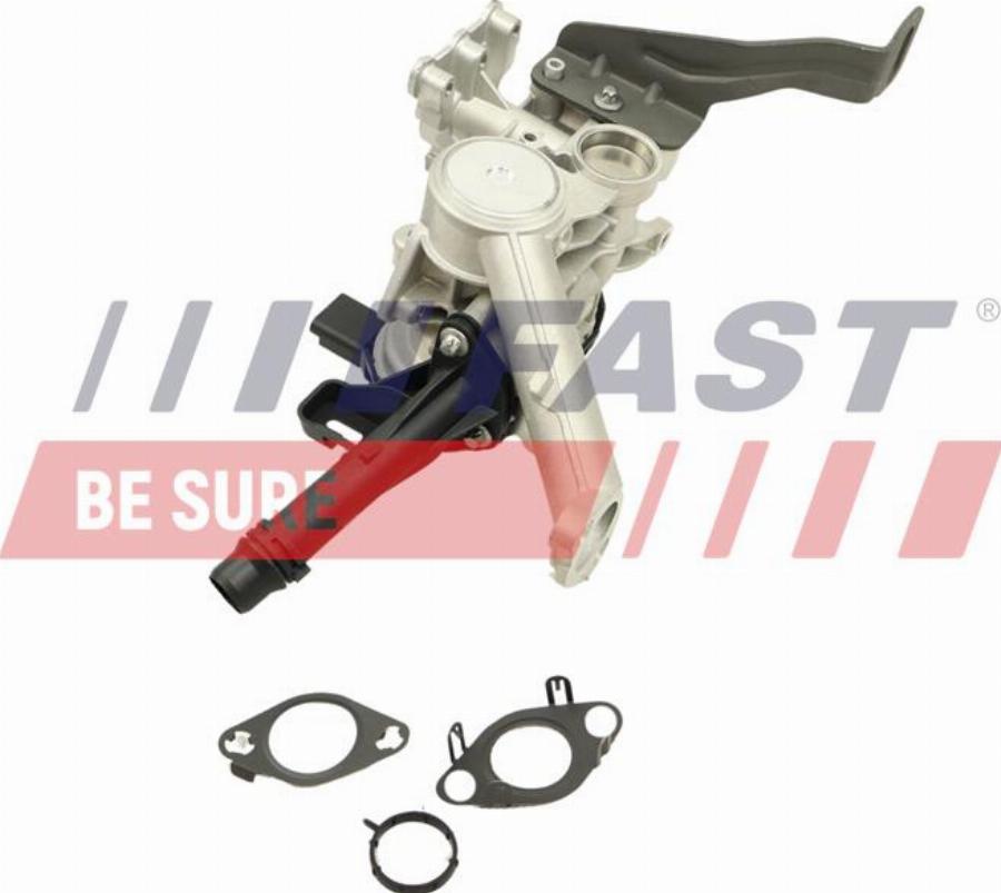 Fast FT60246 - Клапан возврата ОГ abcparts.ee