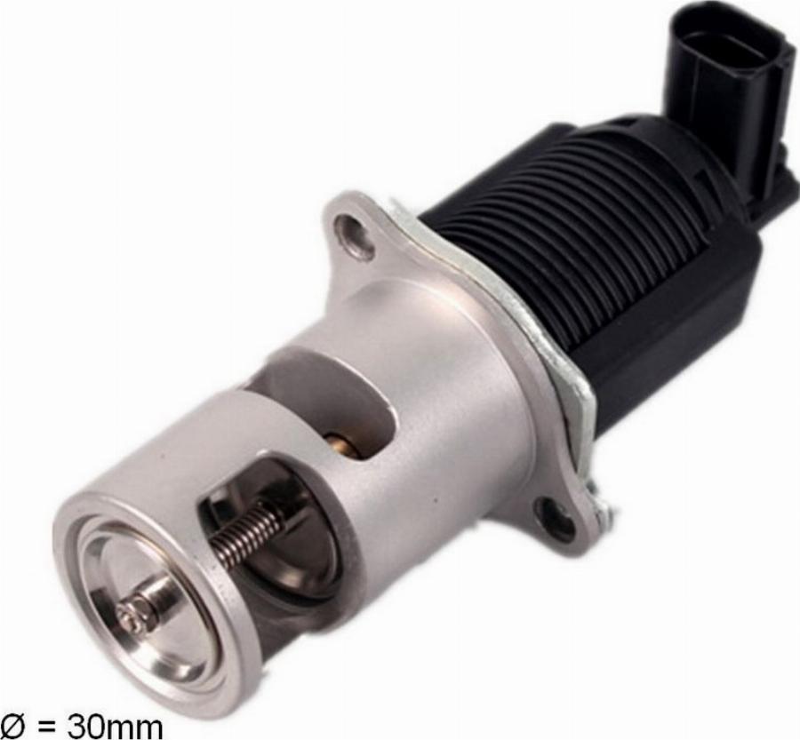 Fast FT60207 - Клапан возврата ОГ abcparts.ee