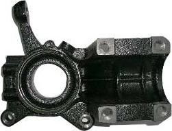 Fast FT13513 - Поворотный кулак, подвеска колеса abcparts.ee