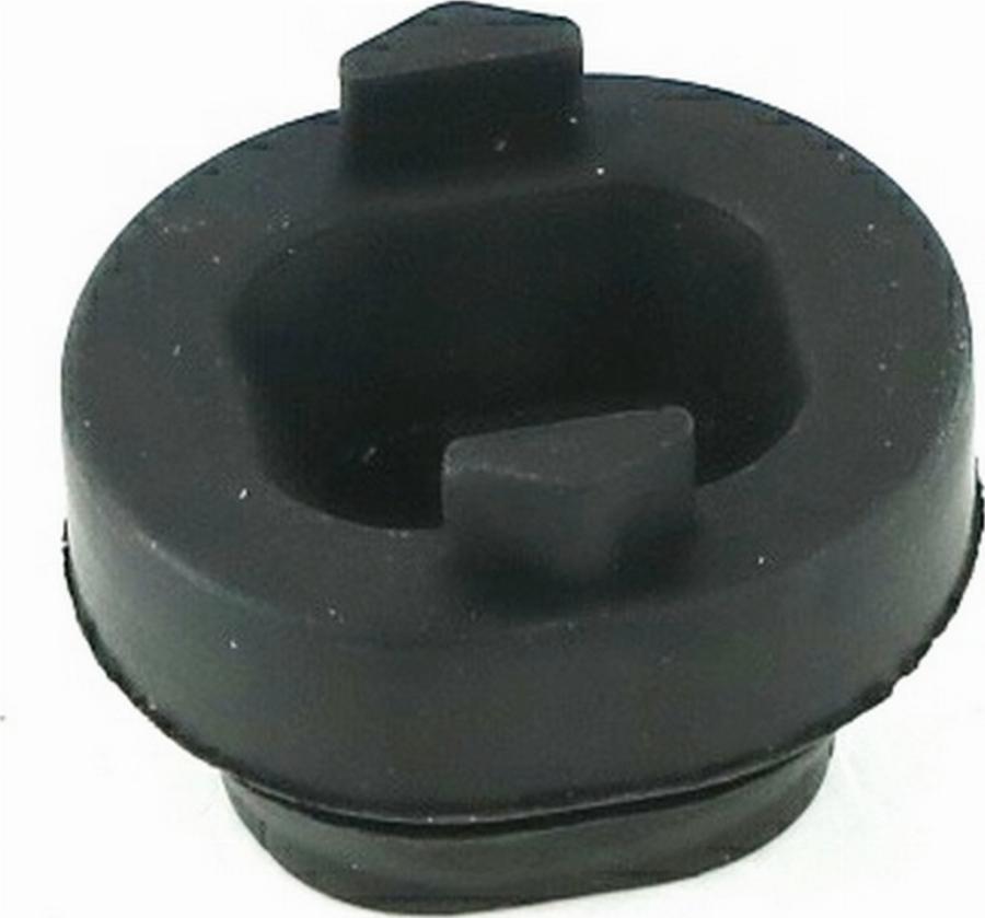 Fast FT13061 - Подвеска, радиатор abcparts.ee