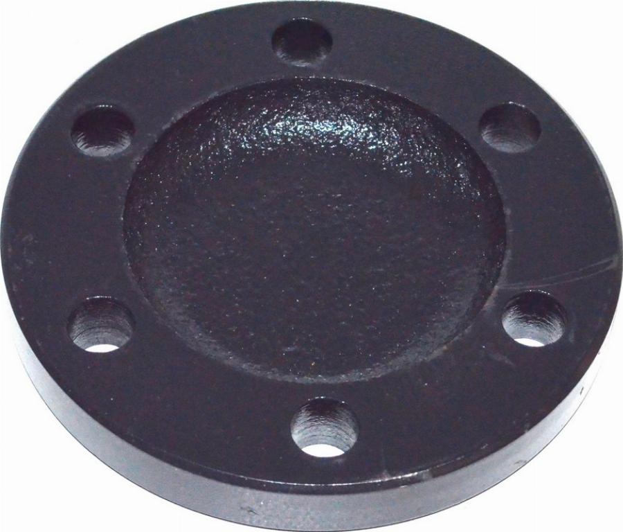 Fast FT23057 - Крышка, подшипник ступицы колеса abcparts.ee