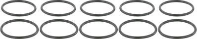 Febest RINGAH-029-PCS10 - Уплотнительное кольцо, трубка нагнетаемого воздуха abcparts.ee